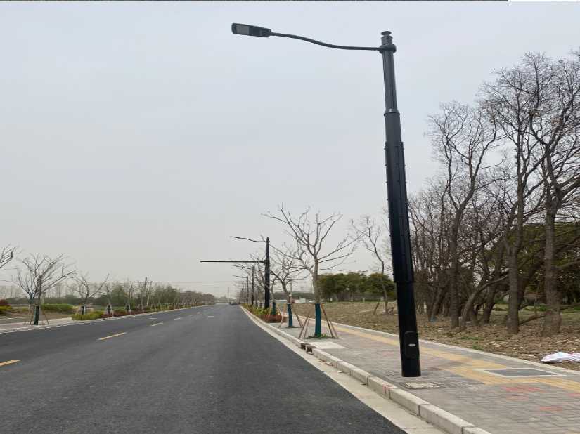 莒县上海综合杆 太阳能路灯工程